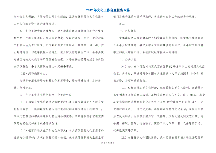 2022年文化工作自查报告6篇_第2页