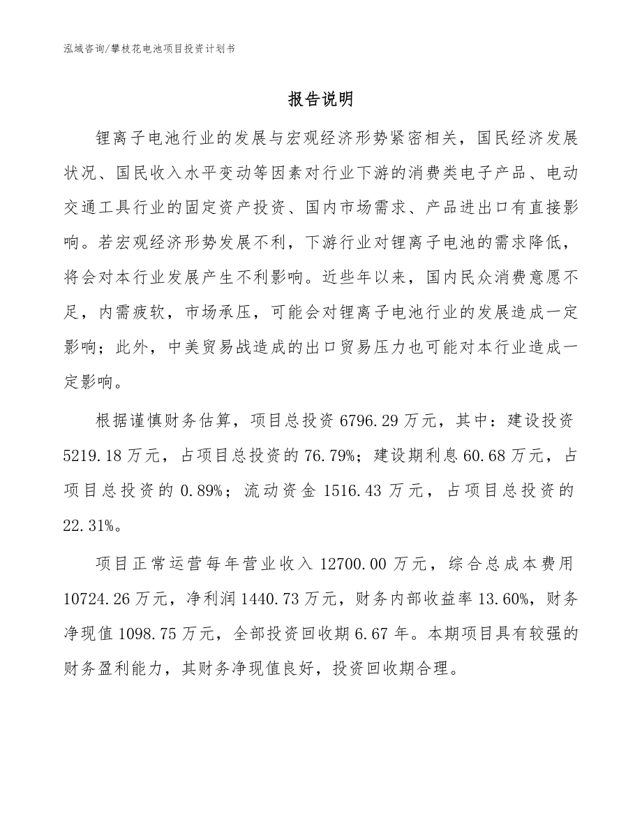 攀枝花电池项目投资计划书范文_第1页