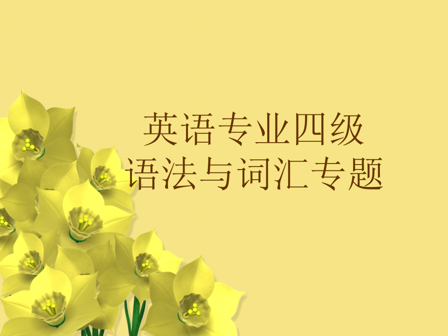 英语专业四级语法与词汇专题课件_第1页