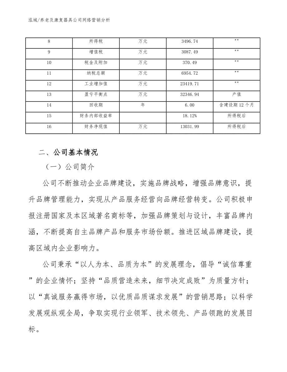 养老及康复器具公司网络营销分析（参考）_第5页