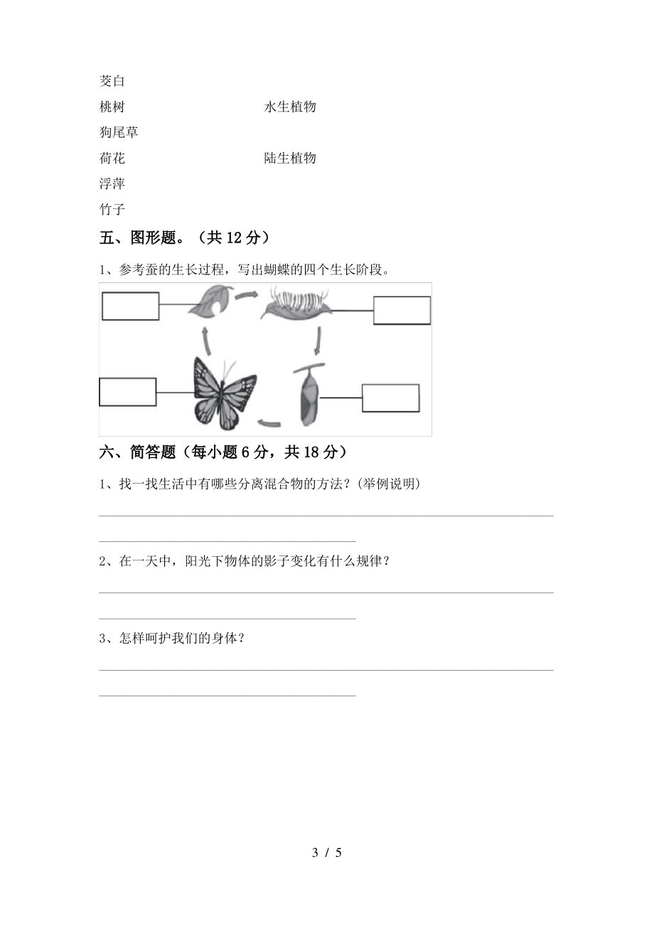 2021年三年级科学上册期末考试题(完美版)_第3页