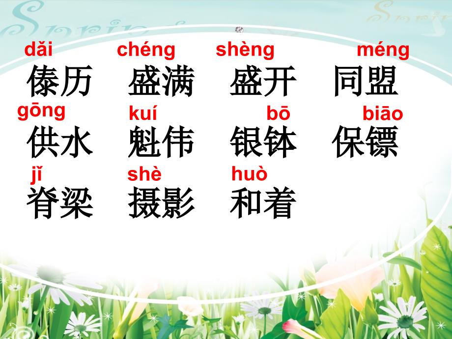 泼水节的怀念课件_第1页