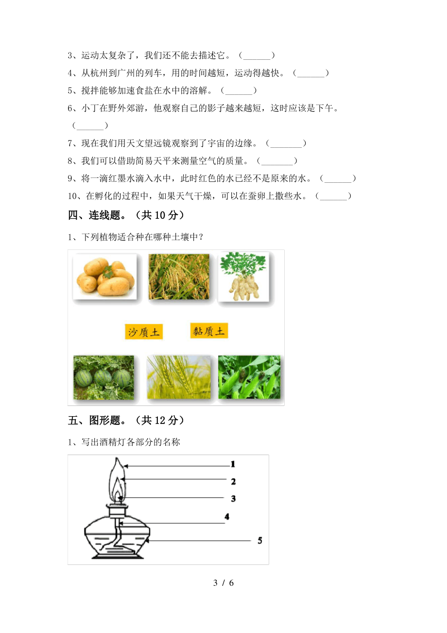 2021年苏教版三年级科学(上册)期末试卷及答案(今年)_第3页