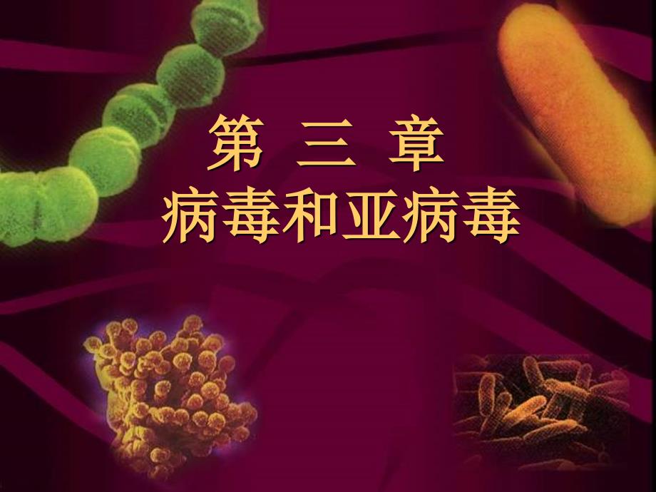 【教学课件】第三章病毒和亚病毒_第1页