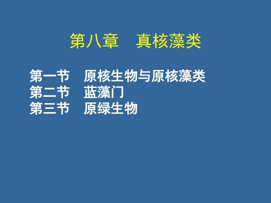 【教学课件】第八章真核藻类_第1页