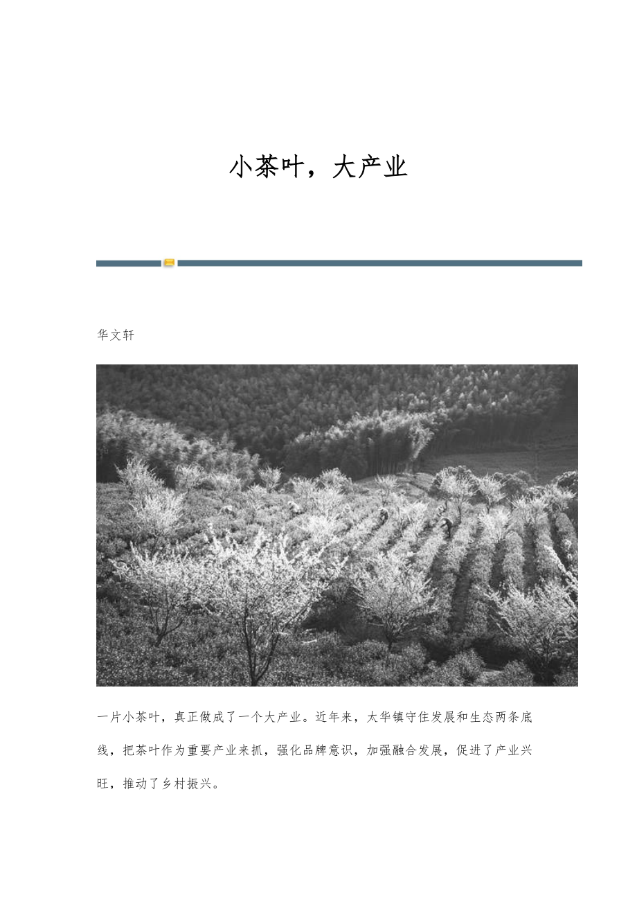 小茶叶大产业_第1页