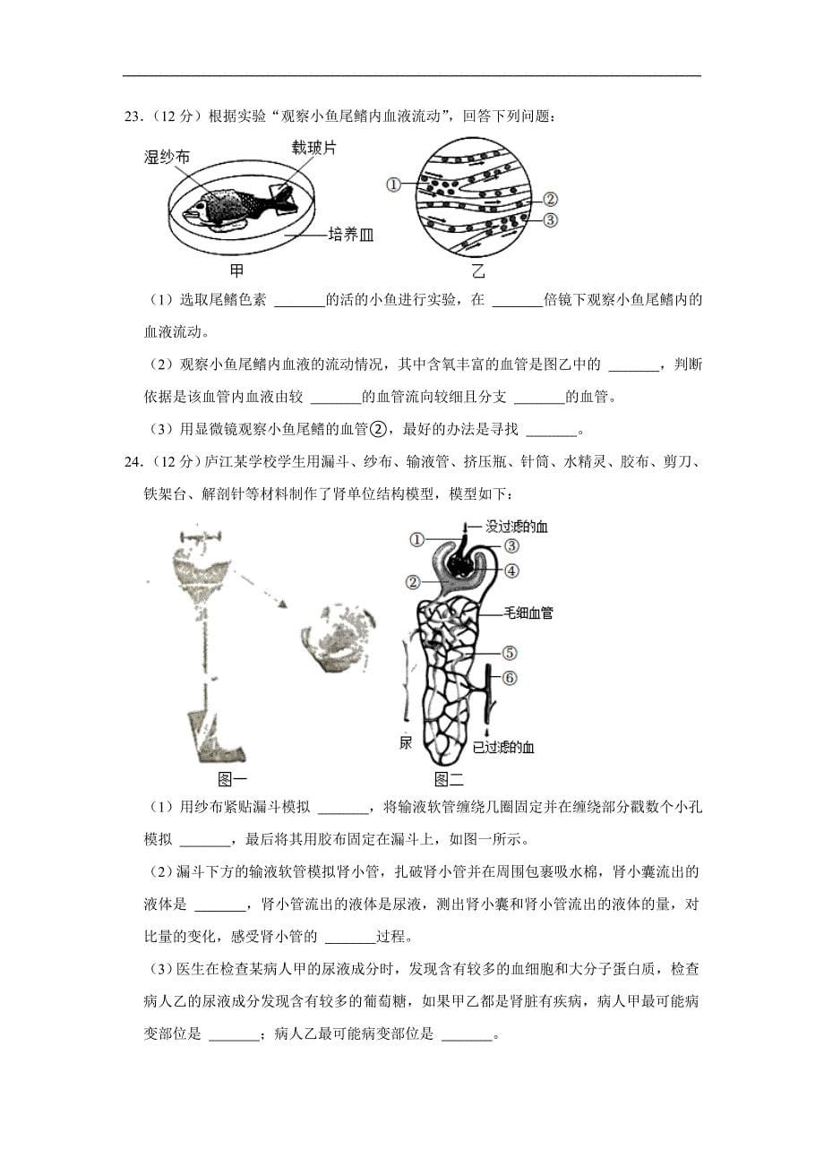 安徽省合肥市庐江县2021-2022学年七年级下学期期末生物试卷(word版含答案)_第5页