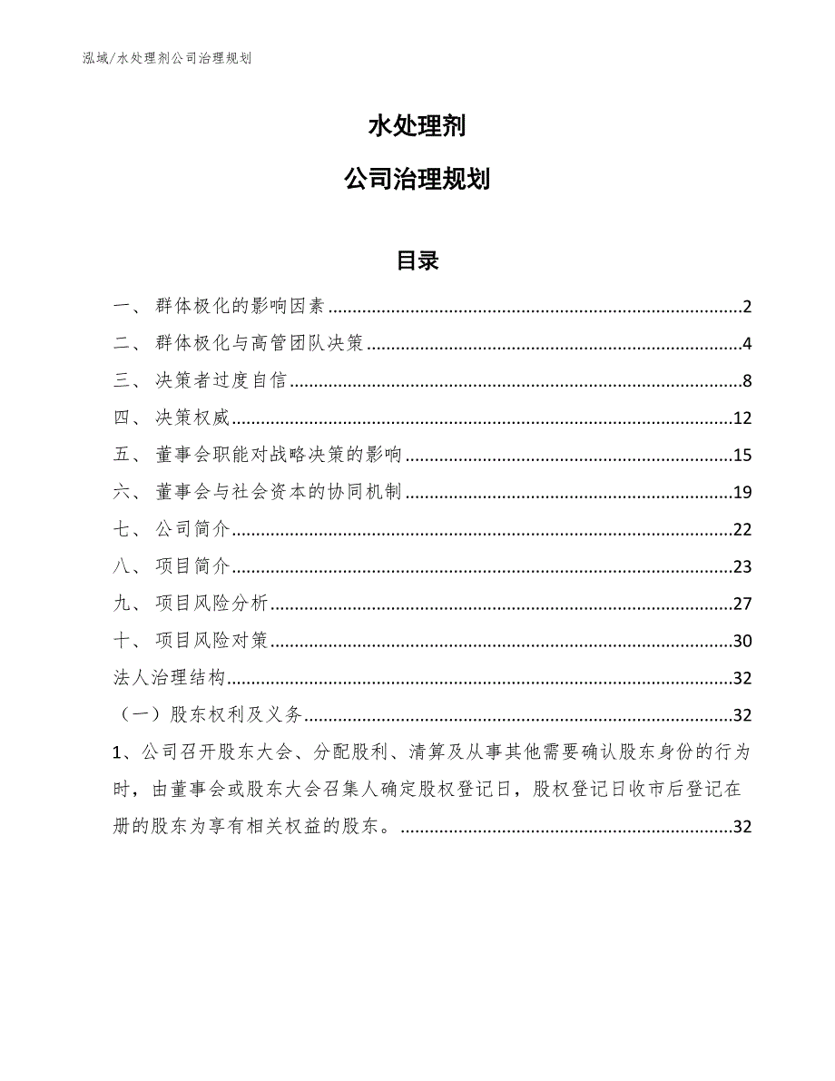 水处理剂公司治理规划【参考】_第1页