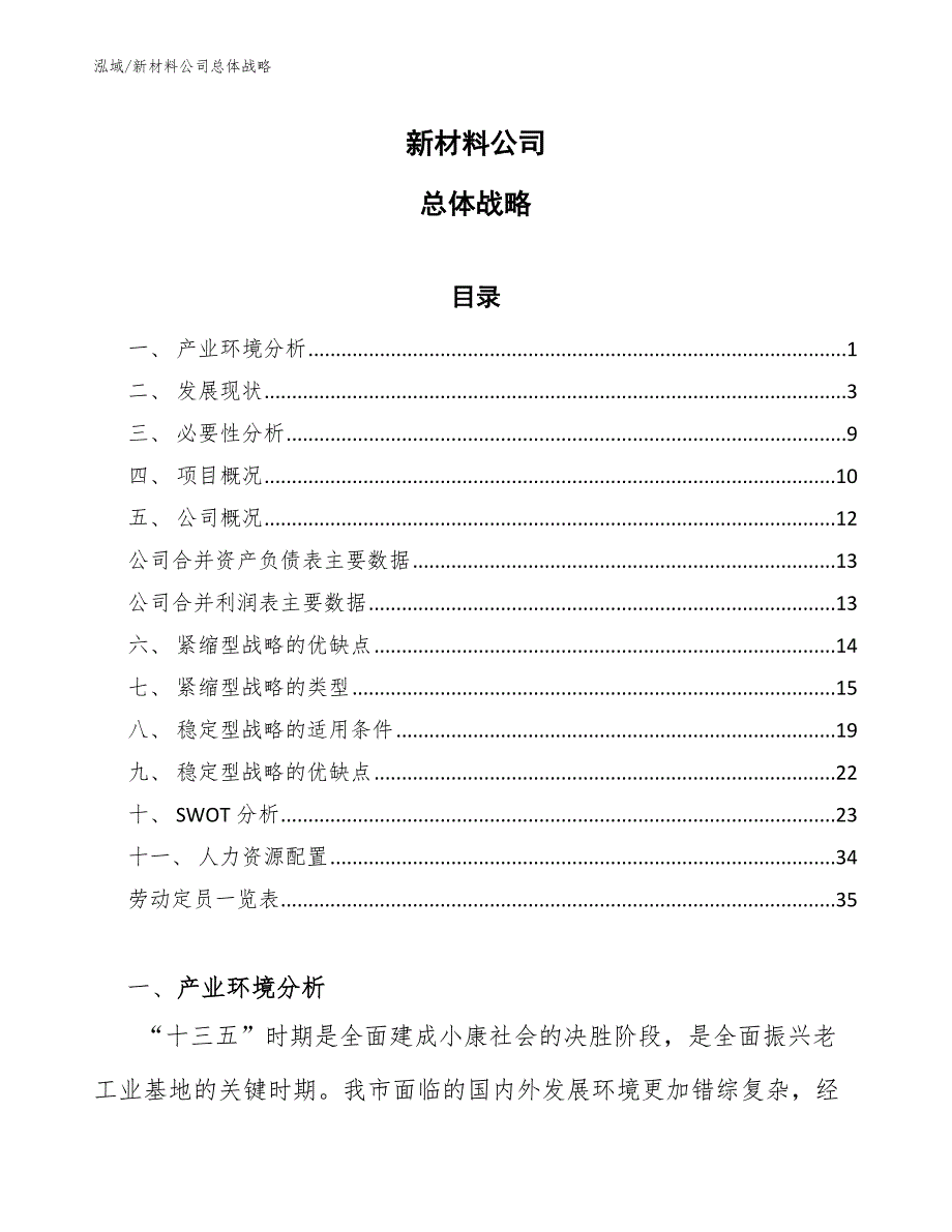 新材料公司总体战略（范文）_第1页