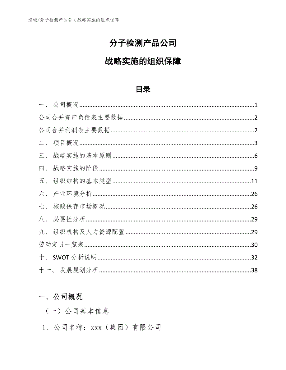 分子检测产品公司战略实施的组织保障_参考_第1页