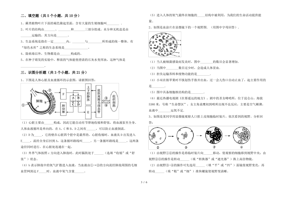 人教版七年级上册《生物》期末试卷及答案【完整】_第3页