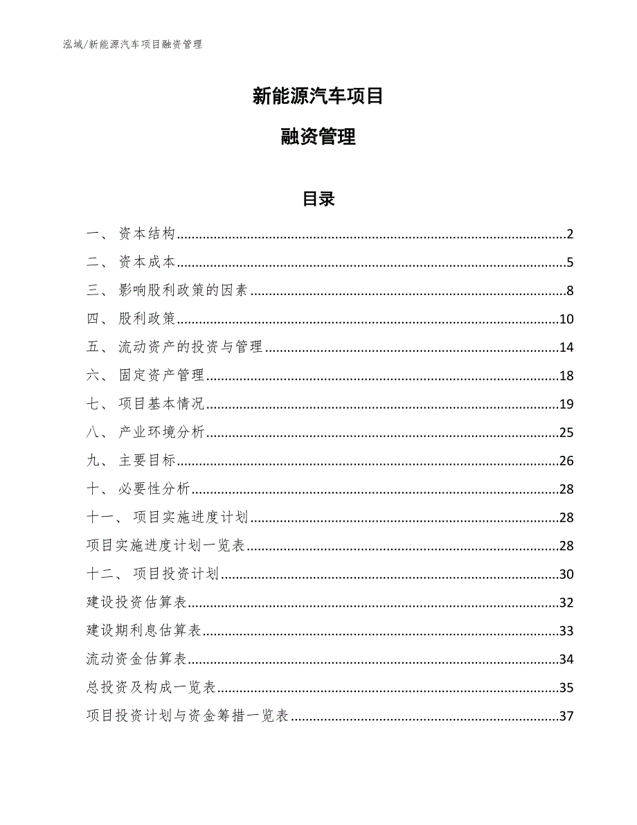 新能源汽车项目融资管理_第1页