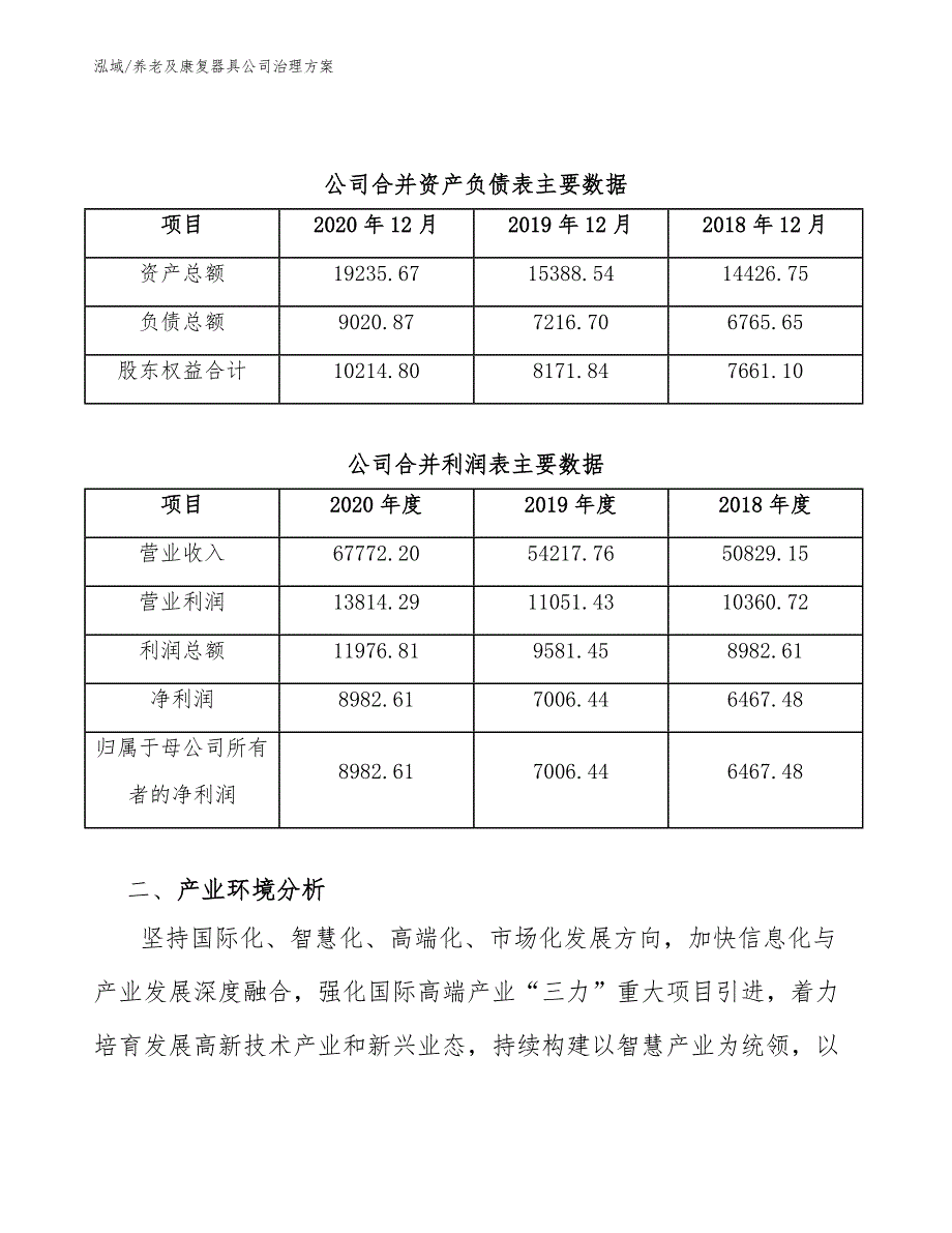 养老及康复器具公司治理方案（范文）_第3页