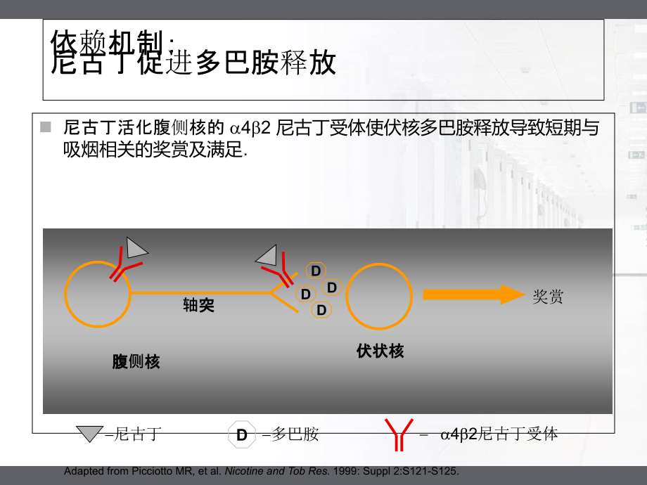 戒烟方法和技巧培训_第3页