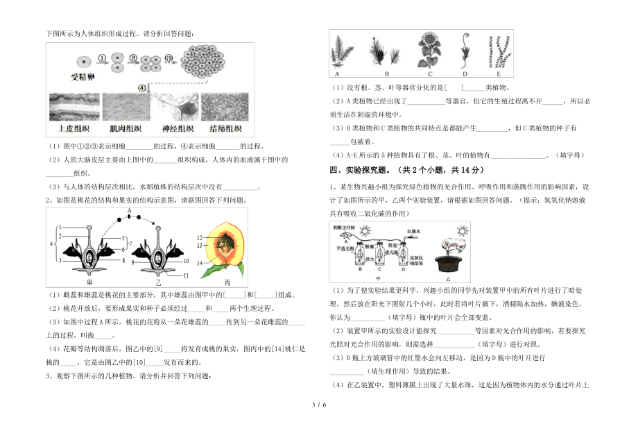 七年级生物上册期末考试(通用)_第3页