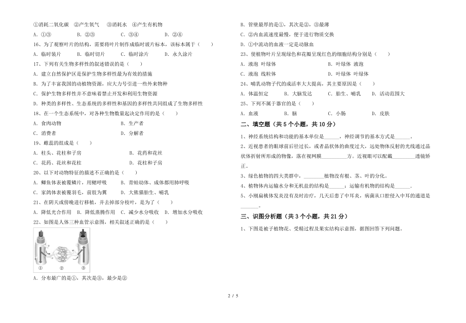 七年级生物上册期末考试题及答案【A4打印版】_第2页