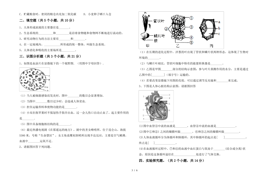 七年级生物上册期末考试(可打印)_第3页