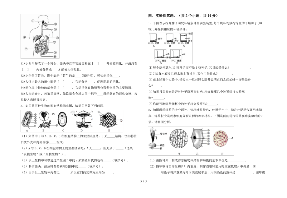 七年级生物上册期末测试卷(精品)_第3页