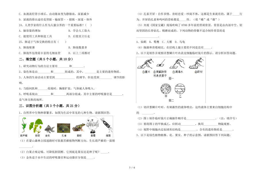 七年级生物上册期末考试题带答案_第3页