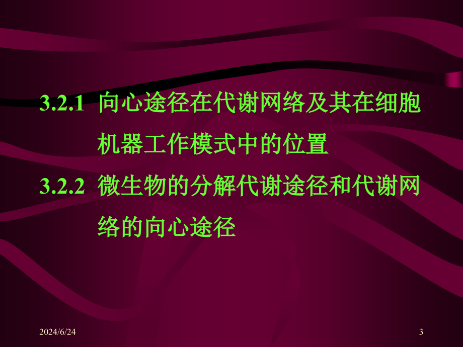 【教学课件】第二节微生物代谢网络的向心板块_第3页