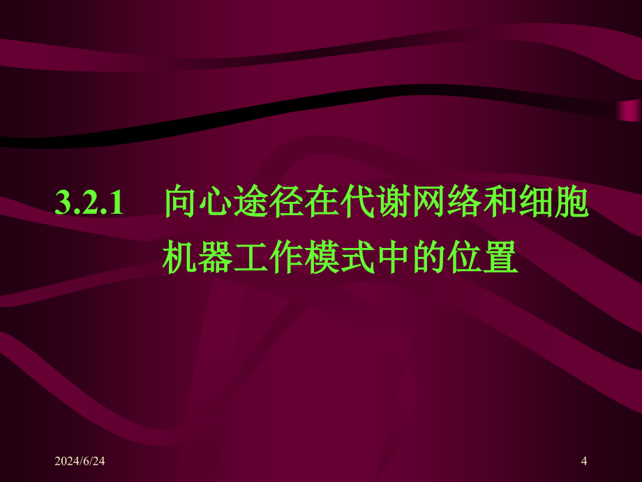 【教学课件】第二节微生物代谢网络的向心板块_第4页