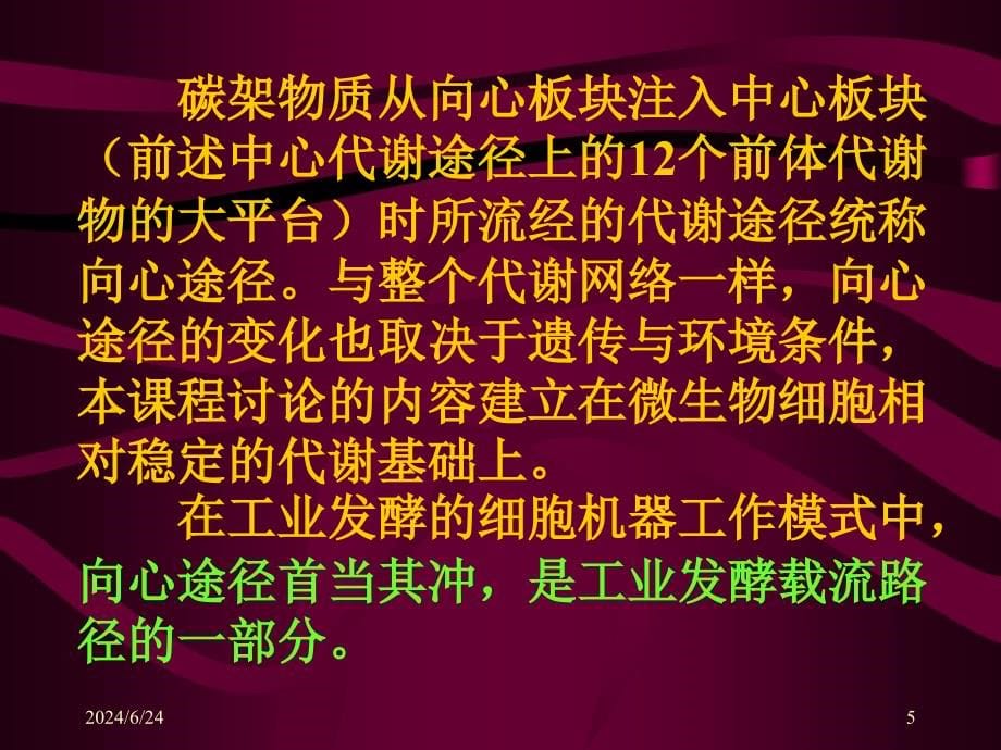 【教学课件】第二节微生物代谢网络的向心板块_第5页