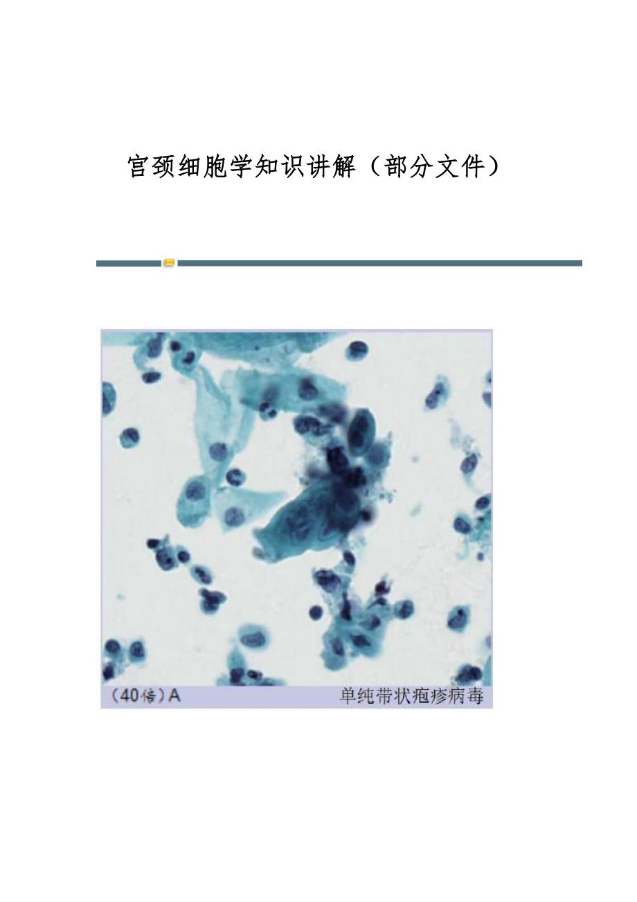 宫颈细胞学知识讲解（部分文件）_第1页