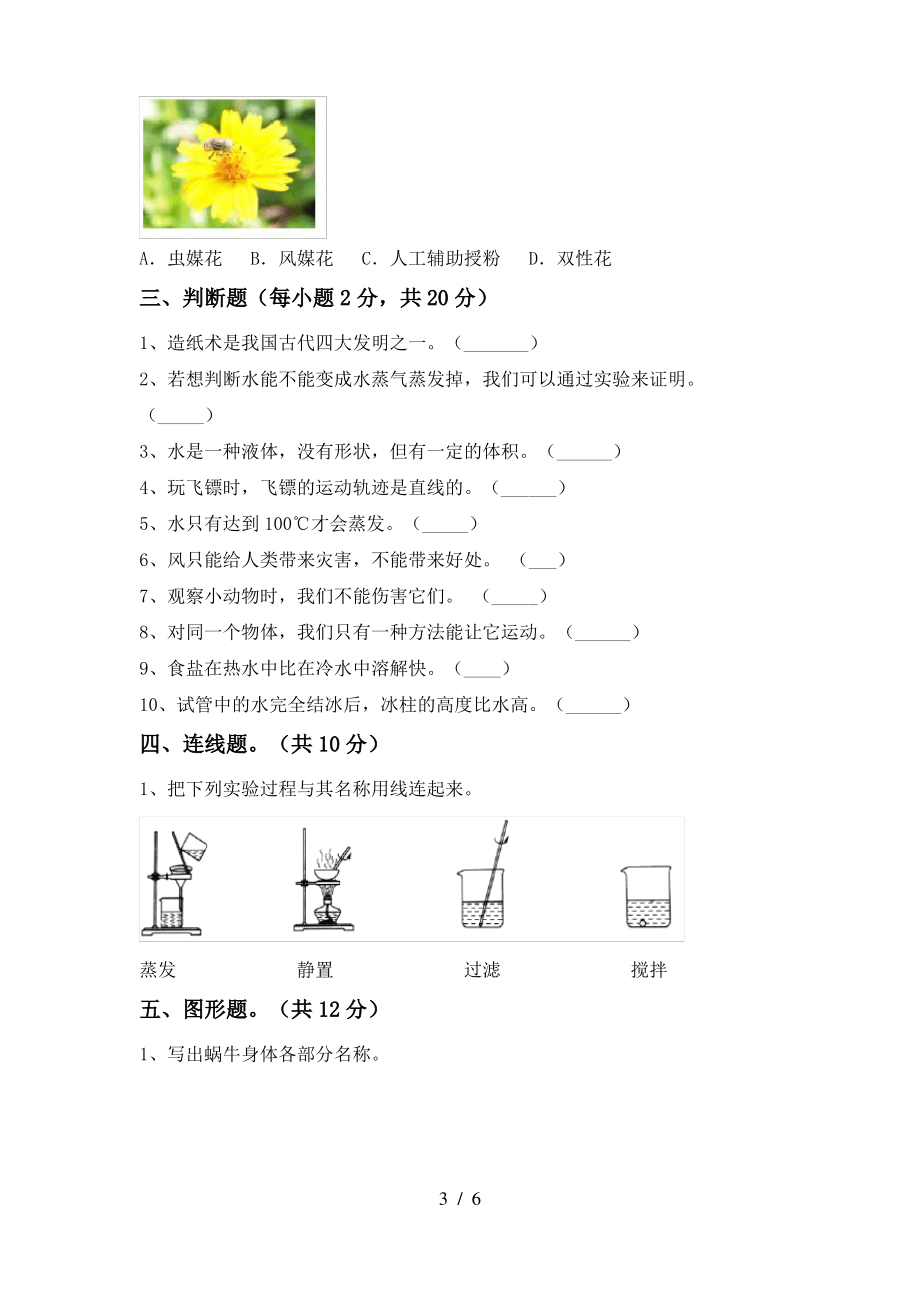 2021年三年级科学上册期末测试卷(新版)_第3页