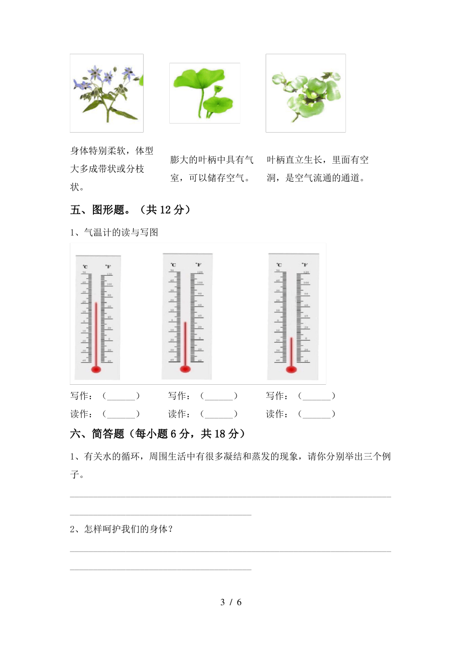 2021年人教版三年级科学上册期中测试卷(及参考答案)_第3页