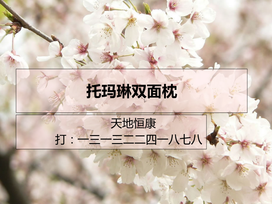 《托玛琳双面枕》PPT课件_第1页