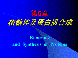 中医药大学细胞生物学课件第5章核糖体与蛋白合成