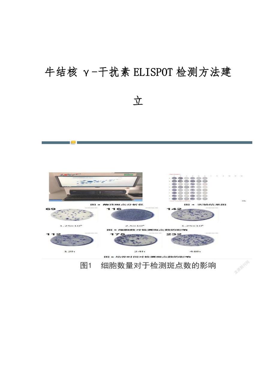 牛结核γ-干扰素ELISPOT检测方法建立_第1页