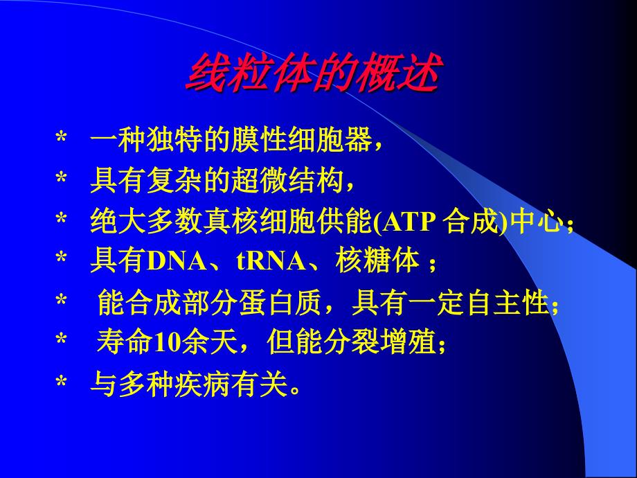 中医药大学细胞生物学课件第7章 线粒体_第3页