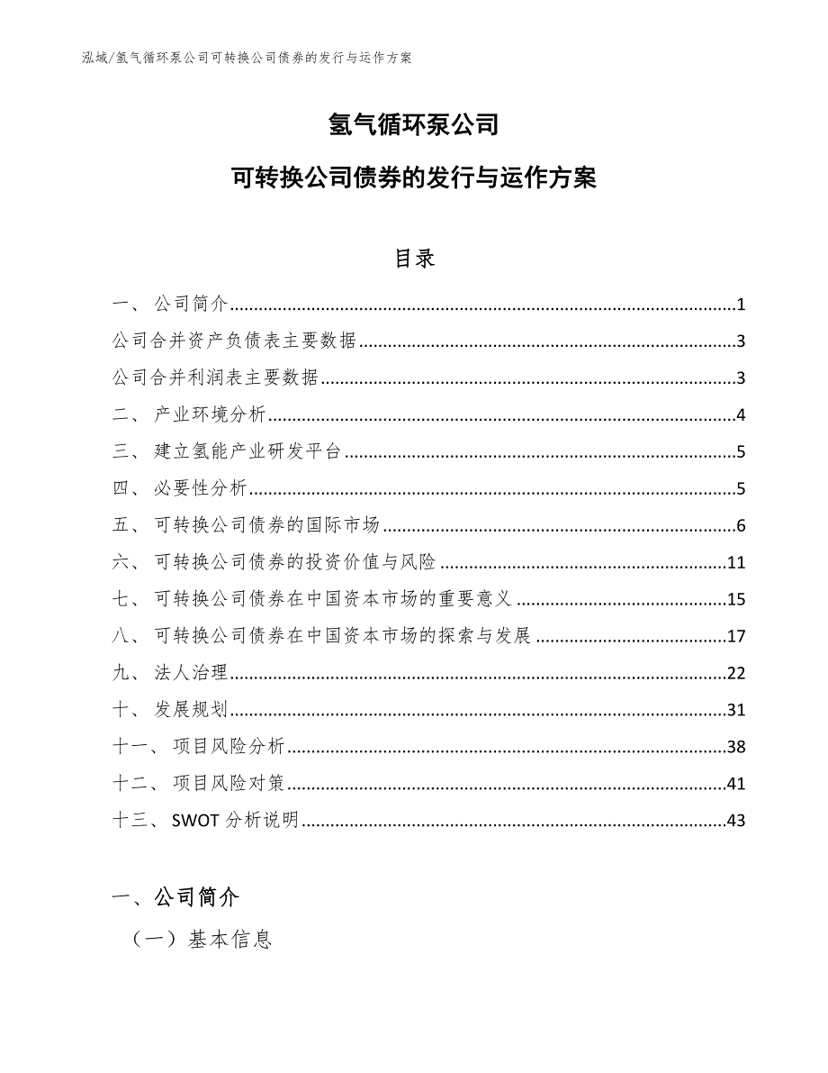 氢气循环泵公司可转换公司债券的发行与运作方案_参考_第1页