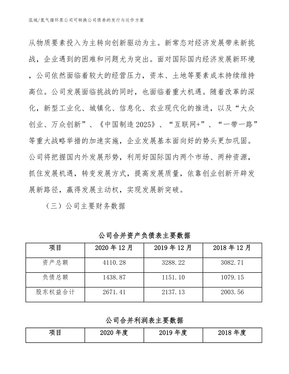 氢气循环泵公司可转换公司债券的发行与运作方案_参考_第3页