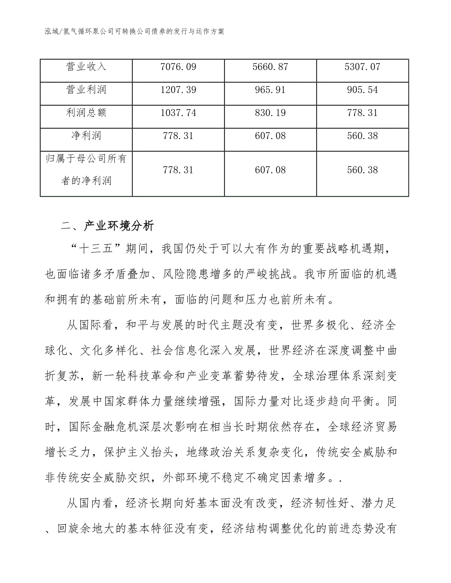 氢气循环泵公司可转换公司债券的发行与运作方案_参考_第4页