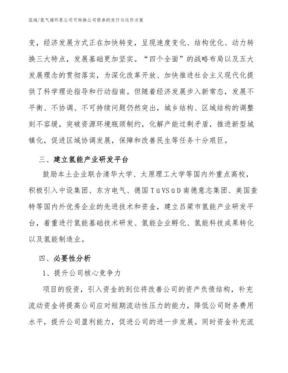 氢气循环泵公司可转换公司债券的发行与运作方案_参考_第5页