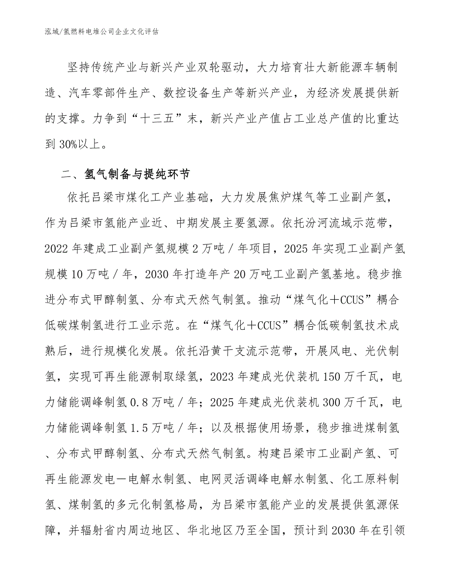 氢燃料电堆公司企业文化评估【参考】_第4页