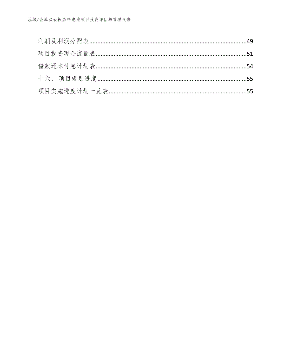 金属双极板燃料电池项目投资评估与管理报告_范文_第2页