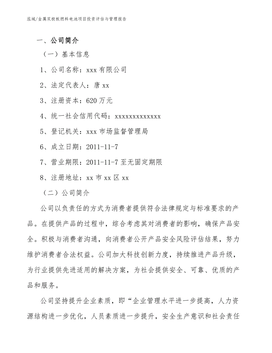 金属双极板燃料电池项目投资评估与管理报告_范文_第3页