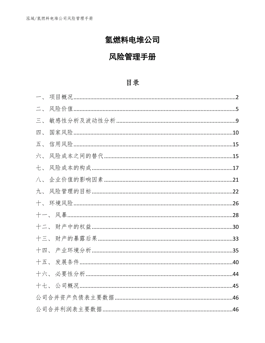 氢燃料电堆公司风险管理手册_范文_第1页