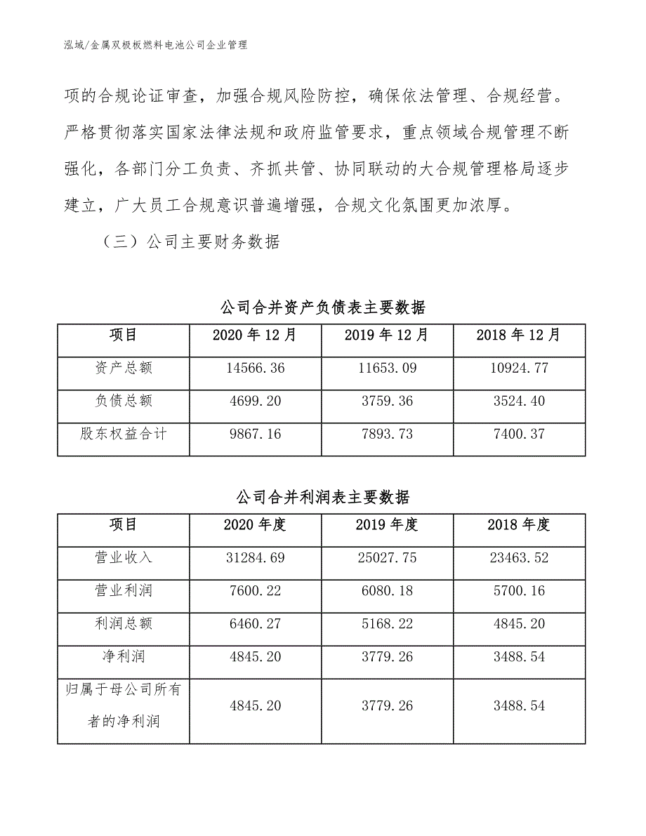 金属双极板燃料电池公司企业管理_第4页