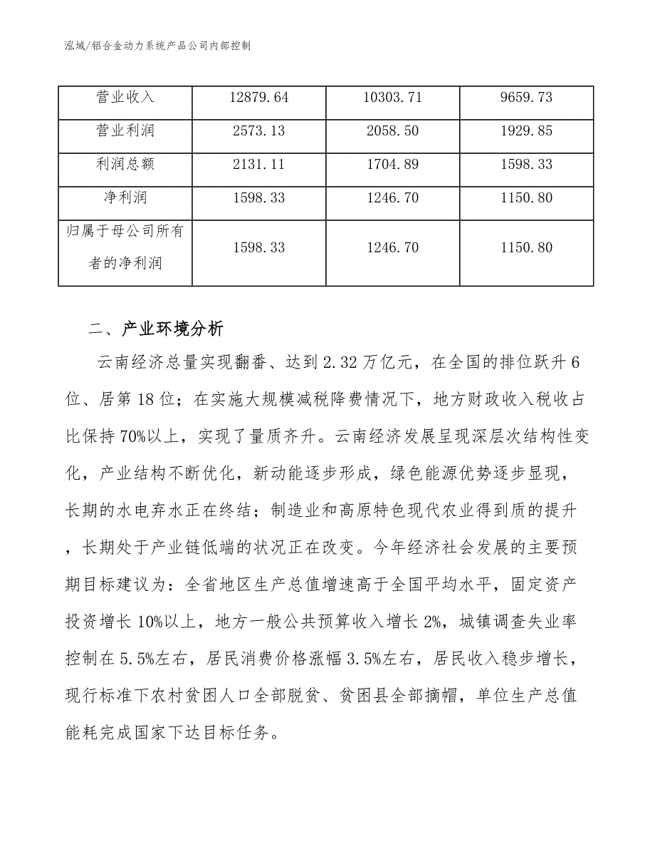 铝合金动力系统产品公司内部控制_第4页