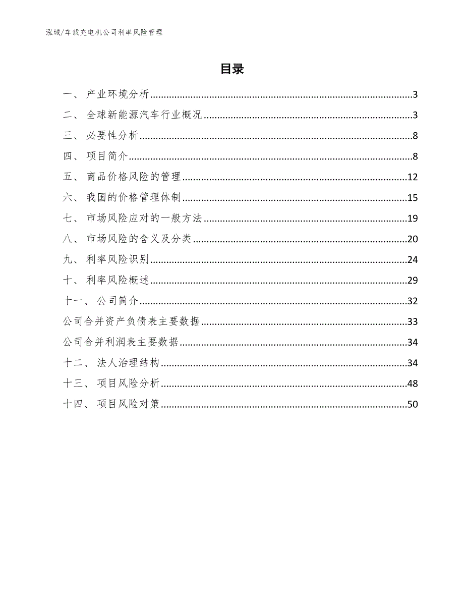 车载充电机公司利率风险管理_范文_第2页