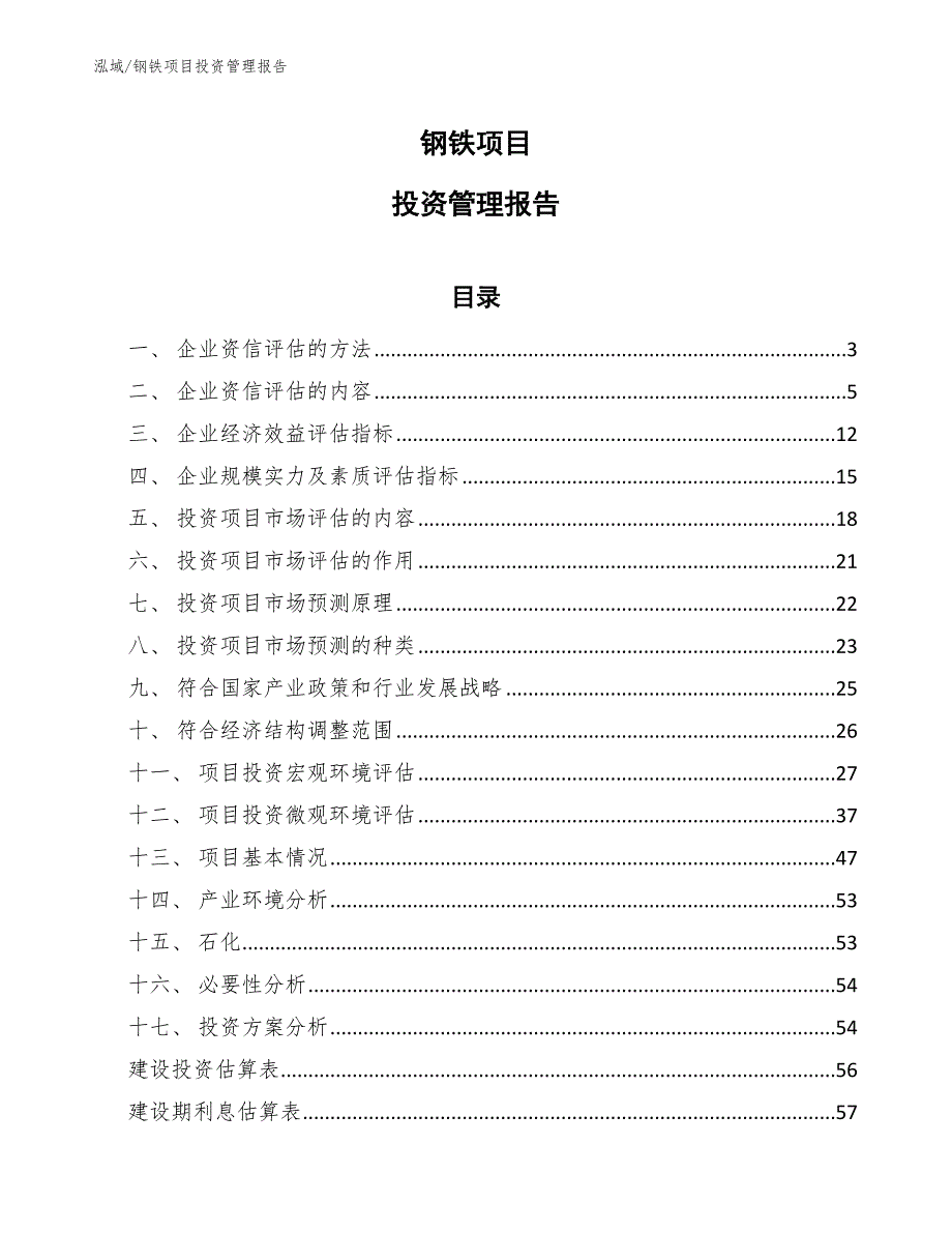 钢铁项目投资管理报告_参考_第1页