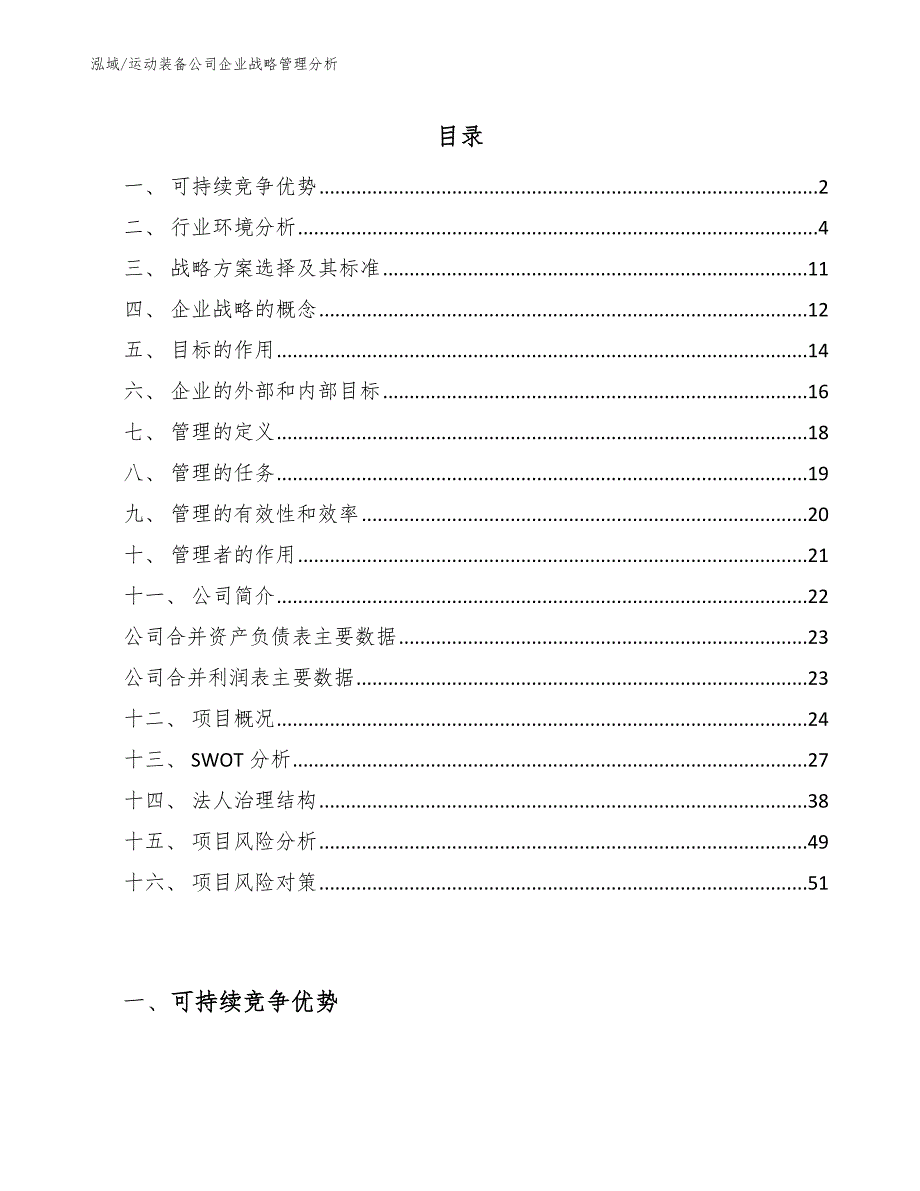 运动装备公司企业战略管理分析_第2页