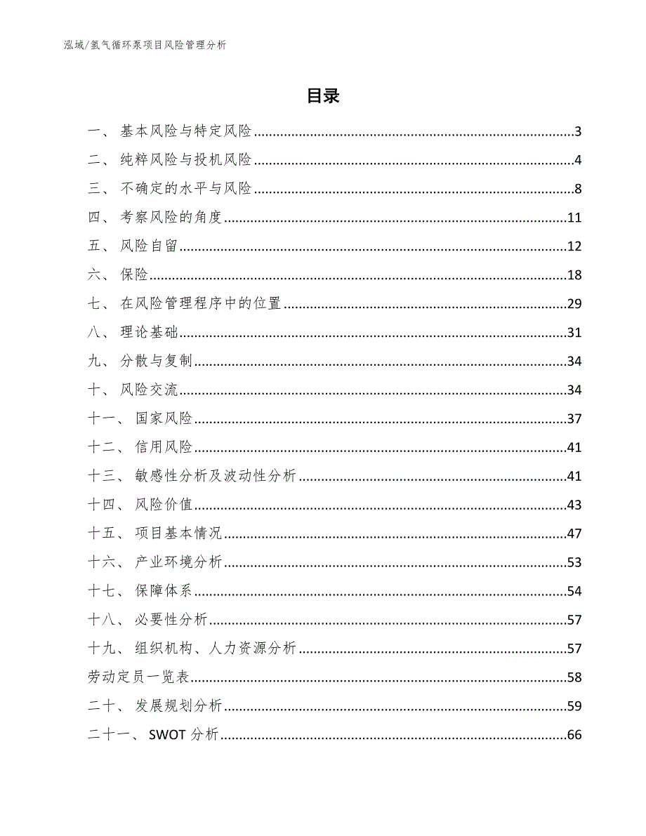 氢气循环泵项目风险管理分析_范文_第2页