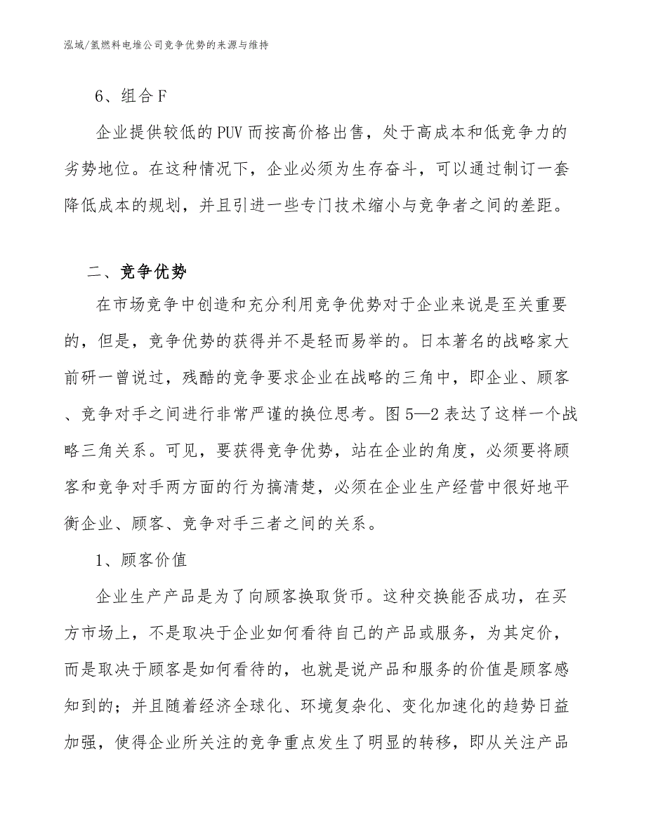 氢燃料电堆公司竞争优势的来源与维持（参考）_第4页