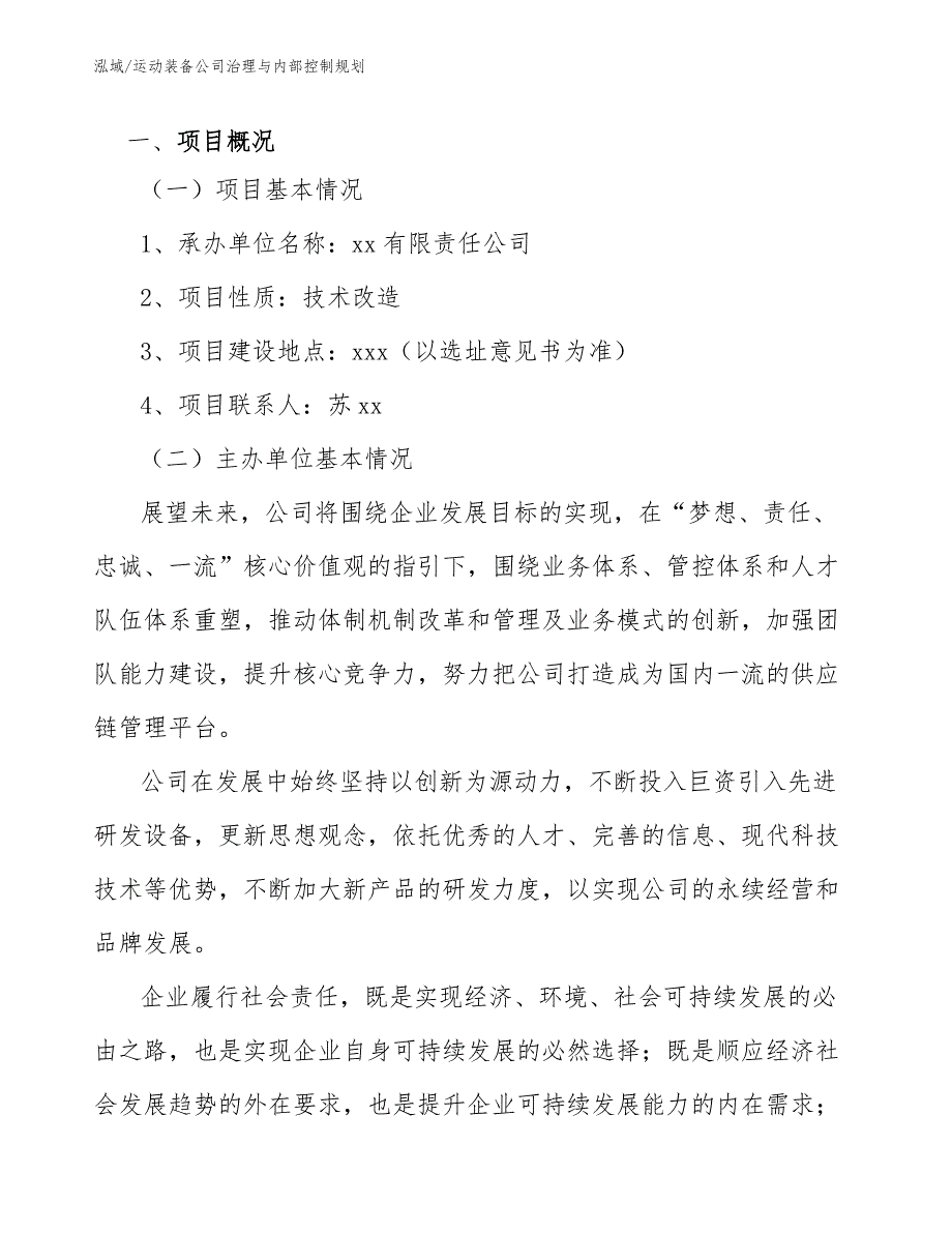 运动装备公司治理与内部控制规划_第4页