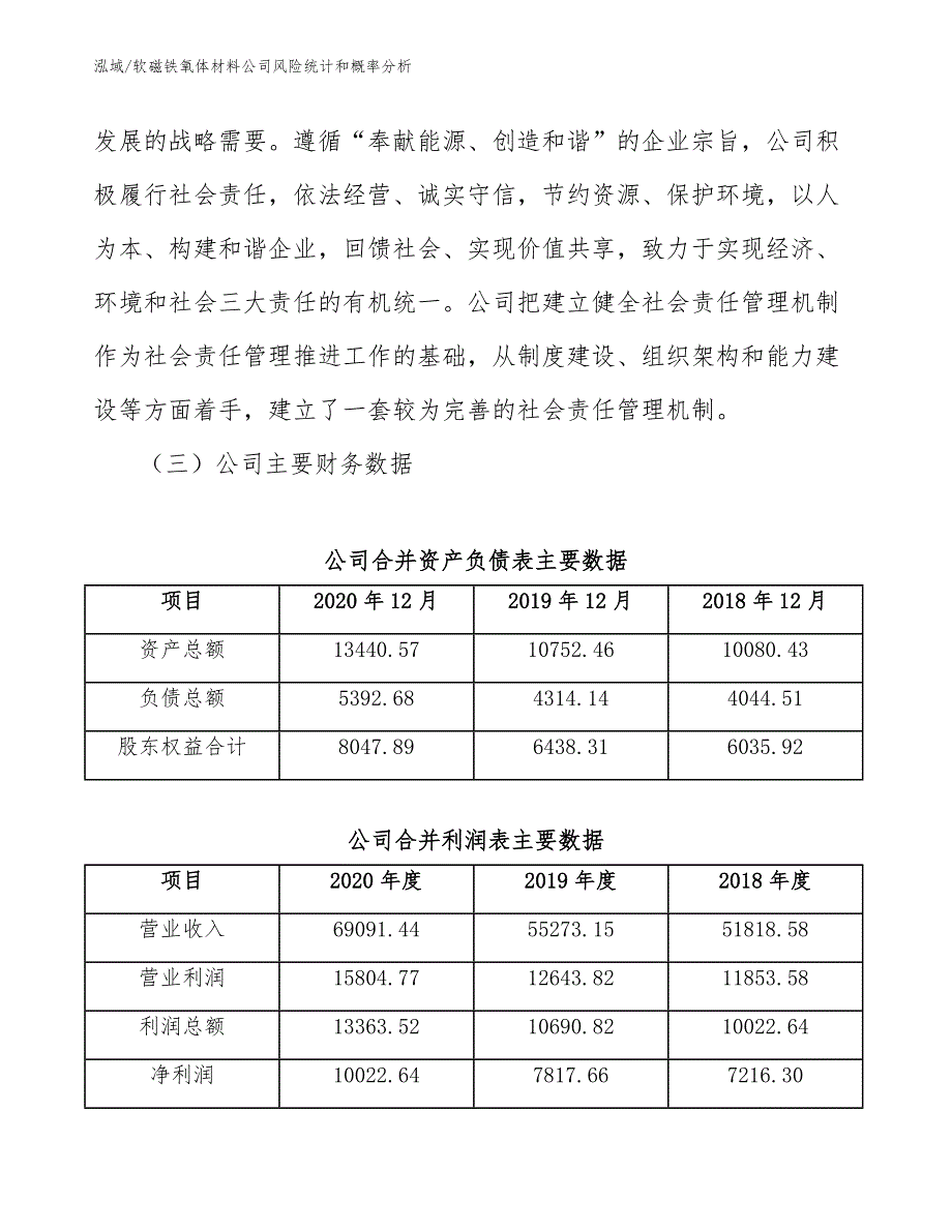 软磁铁氧体材料公司风险统计和概率分析_参考_第4页